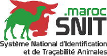 Sistema oficial de identificación y trazabilidad de animales - Marruecos