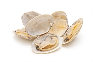 digital platform for the production of bivalves in maternity