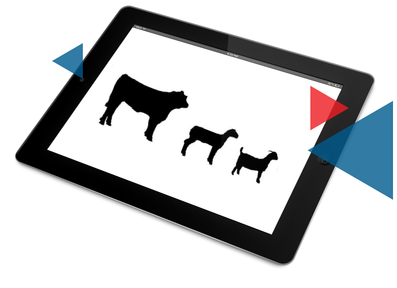 Animal Production Management Software